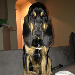 Meet your Posher, Shawn